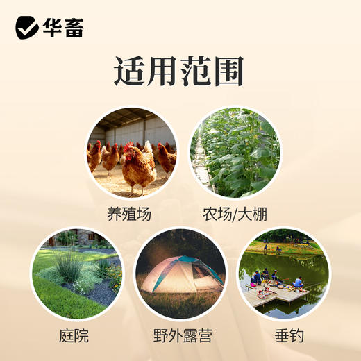 蚊香棒香40根 一晚一根 孕畜可用z 商品图3