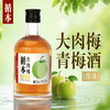 【整箱装】（再赠三瓶）循本青梅酒 12度 原味 300ml*6瓶 新品限时特惠百年糊涂出品 商品缩略图8