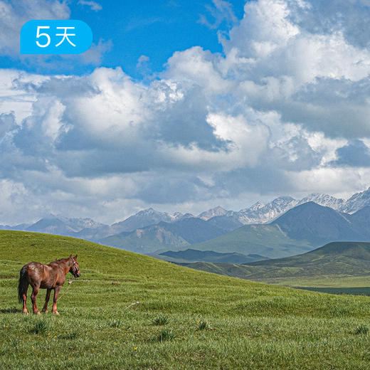 祁连山开湖节｜66公里轻装徒步 走进最美花季 全年仅此一期 5日 商品图4