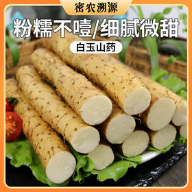 密农人家  新鲜白玉山药 400g 小白嘴山药  皮薄肉糯 果肉洁白如玉  软糯微甜
