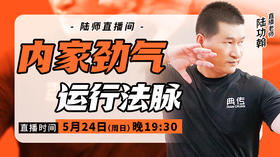 【5月24日】 内家劲气运行法脉