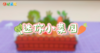 2026年5月迷你小菜园 商品缩略图0