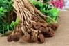 光雾四宝茶树菇250g 商品缩略图1