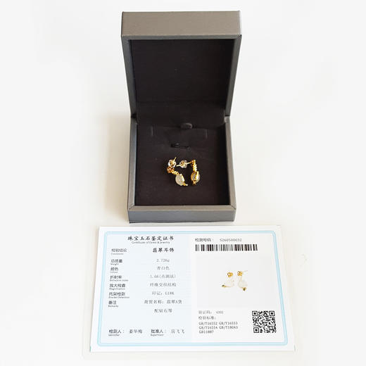 【天然正品】A货翡翠 AU750精品黄金镶钻镶天然冰种貔貅翡翠（招财、好运）设计款耳环 040526NJT18 商品图1