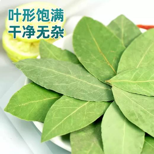【YMHR】香叶  优质香辛料 商品图2