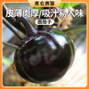 北京新鲜现摘圆茄子400g 油亮圆润  皮薄味浓  软嫩香滑  适合炖着吃 地三鲜 商品缩略图0