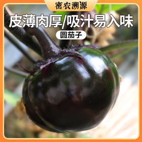 北京新鲜现摘圆茄子400g 油亮圆润  皮薄味浓  软嫩香滑  适合炖着吃 地三鲜
