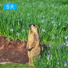 祁连山开湖节｜66公里轻装徒步 走进最美花季 全年仅此一期 5日 商品缩略图11
