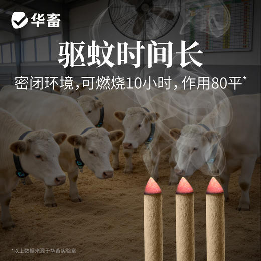 蚊香棒香40根 一晚一根 孕畜可用z 商品图4