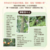 静默的斗士 植物的生存智慧 商品缩略图1
