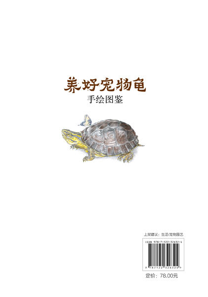 养好宠物龟手绘图鉴 商品图5