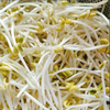 【YMHR】黄豆芽  自然泡发 商品缩略图1