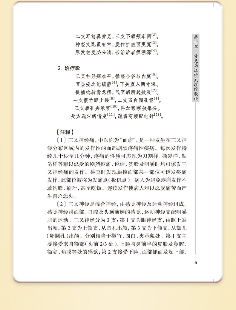 中医棕黄-1_09.jpg