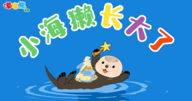 2026年5月小海獭长大了