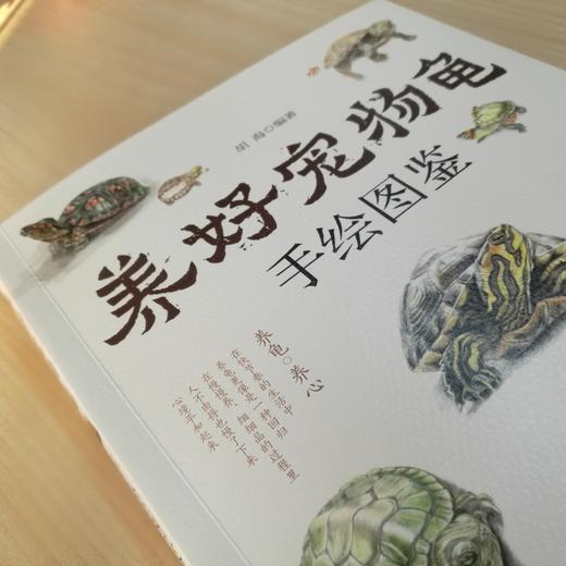 养好宠物龟手绘图鉴 商品图2