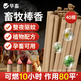 蚊香棒香40根 一晚一根 孕畜可用z