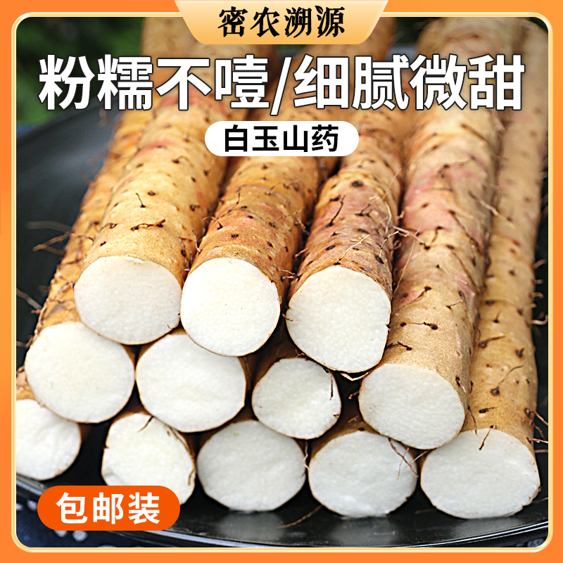 【送礼必备】密农人家白玉山药礼盒装  小白嘴山药  皮薄肉糯  拍下送刮皮刀+一次性手套