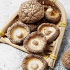 光雾御品椴木香菇100g 商品缩略图2