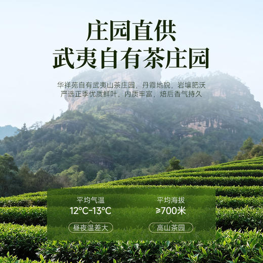 华祥苑-235.2g星时光水很仙岩茶水仙 商品图2