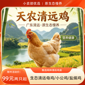【99元两只起】生态清远母鸡/小公鸡/盐焗鸡 138天清远鸡 甄选纯种清远鸡苗，饲养于原产地的天农6优农场