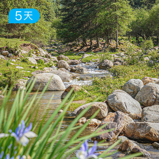 祁连山开湖节｜66公里轻装徒步 走进最美花季 全年仅此一期 5日 商品图1