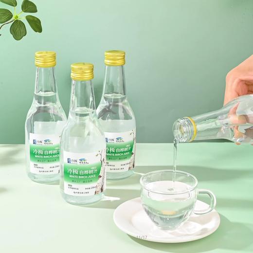 内蒙古森工集团冷极白桦树汁236ml*6瓶 商品图4