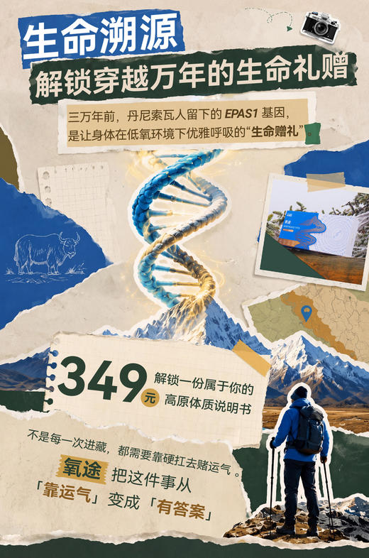 【氧途】高原环境适应力评估 高原出行先测评，轻松规避高反风险 商品图1