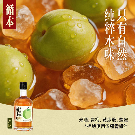 【整箱装】（再赠三瓶）循本青梅酒 12度 原味 300ml*6瓶 新品限时特惠百年糊涂出品 商品图3