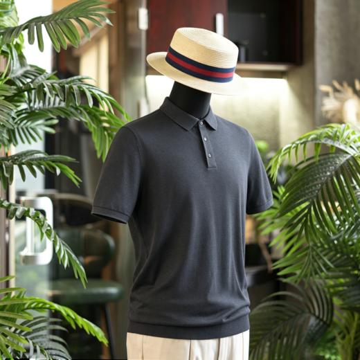 夏季新款男士超细黄金羊毛 POLO衫T恤  六色可选-不退换 商品图1
