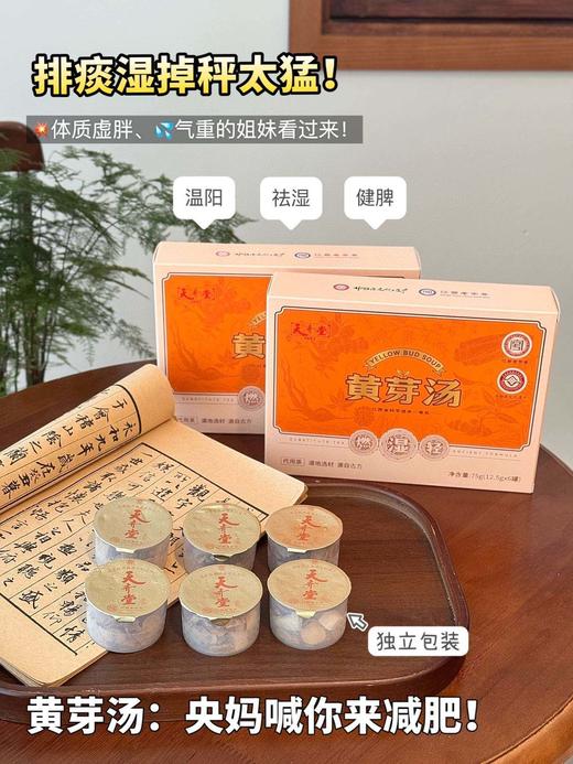 天齐堂黄芽汤75g/盒 商品图0