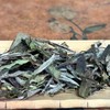 懂茶帝-方家山2017蜜韵牡丹50克散装茶叶白牡丹白茶50g 商品缩略图1