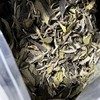 懂茶帝-2017年雷建明老树荒野二级牡丹方家山福建福鼎白茶50g 商品缩略图2