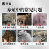 华畜 母狗全能补 成分多营养足 免疫强少生病 补气血奶水足 强骨骼幼犬壮 商品缩略图1