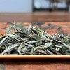 懂茶帝有机白茶福鼎白茶高山茶核心区方家山2025有机白牡丹茶60g 商品缩略图4