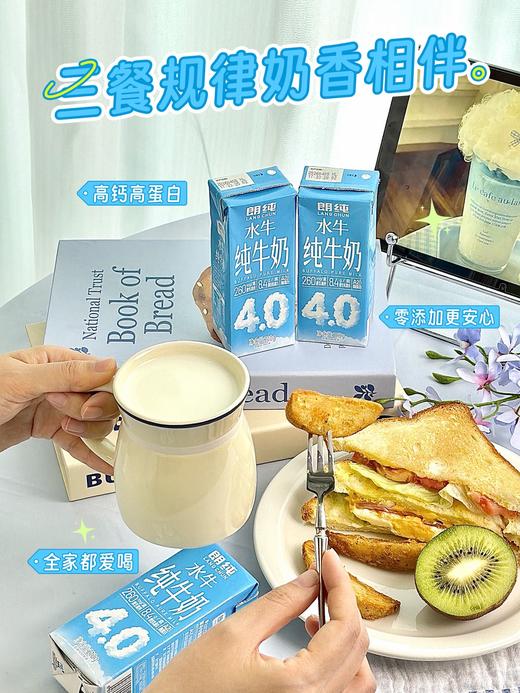 朗纯4.0g水牛纯牛奶 商品图7