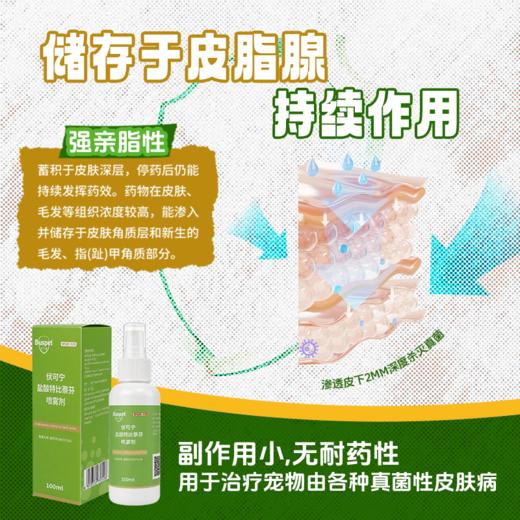 巴士宠盐酸特比萘芬喷剂100ml 皮肤真菌感染猫癣 线下专供【包装更新发新包装】 商品图1