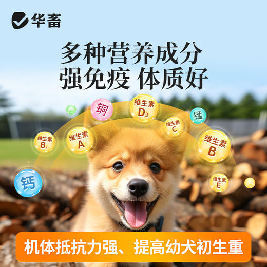 华畜 母狗全能补 成分多营养足 免疫强少生病 补气血奶水足 强骨骼幼犬壮 商品图3