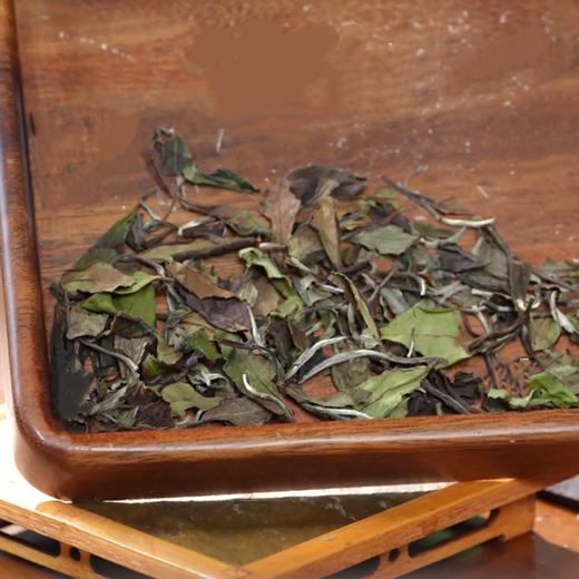 懂茶帝荒野茶福鼎白茶方家山2022孔兰荒野70年树龄玫野寿眉30g 商品图3