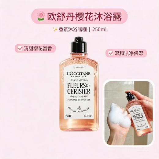 法国L‘occitane欧舒丹 玫瑰/樱花沐浴露-250ML【新版】 商品图4