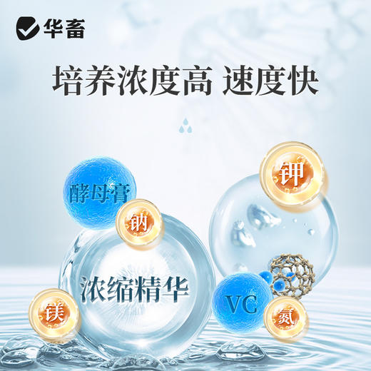 华畜光合细菌培养基水产养殖原液扩培鱼虾蟹塘降PH氨氮亚硝酸盐 商品图2
