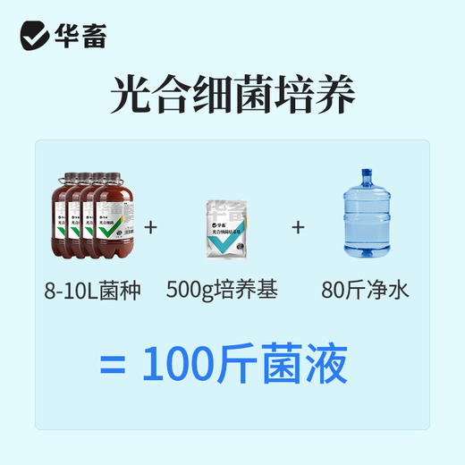 华畜光合细菌培养基水产养殖原液扩培鱼虾蟹塘降PH氨氮亚硝酸盐 商品图1