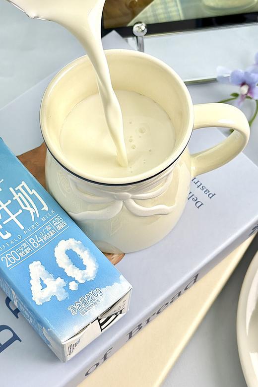 朗纯4.0g水牛纯牛奶 商品图8