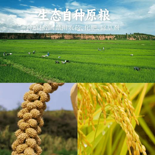 童趣食光 自然滋养 谦益香畴安心食养 给孩子安全守护 六一儿童节 优惠食养组合 商品图4