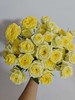 【玫瑰之约·超值福利】云天化单头20支（随机2个品）+随机多头玫瑰10支（随机2个品）/份（国王日/微光/海洋之心/苏醒/上官婉儿/朱小姐/卡布奇诺/苏菲宝贝/娃娃公主/星月宝贝/莱拉/橙芭比等随机） 商品缩略图7