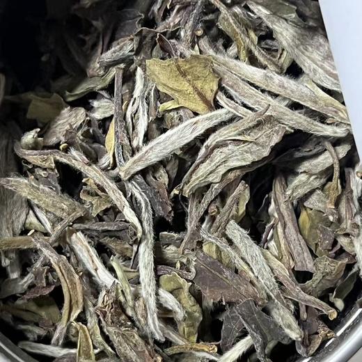 懂茶帝-2019年老树荒野一级牡丹白茶方家山40g 商品图2