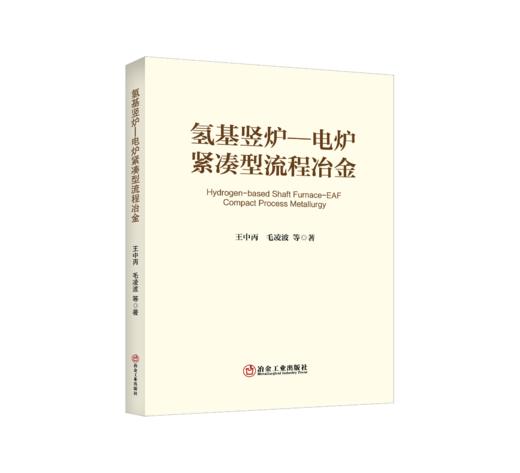 氢基竖炉-电炉紧凑型流程冶金 商品图0