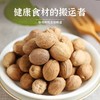 【MLT】调味肉蔻 商品缩略图0