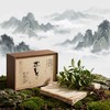 懂茶帝-方家山2024阿铁有机碳焙银针40g/200g 商品缩略图2