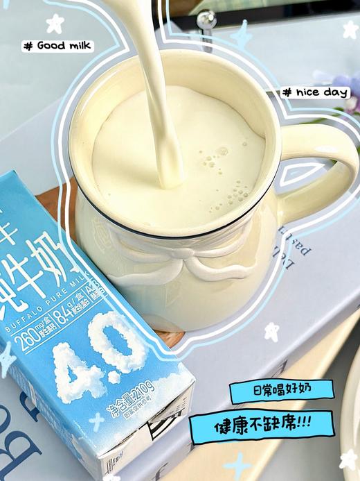 朗纯4.0g水牛纯牛奶 商品图6