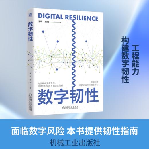 数字韧性 商品图0